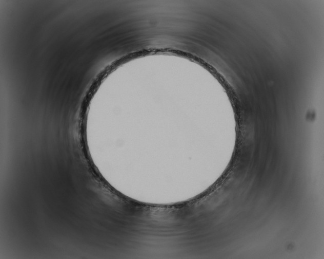 X0000102820832200809021249