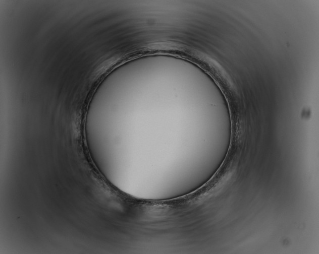 X0000102820833200809021249
