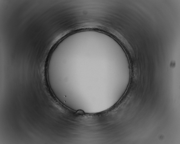 X0000102820834200809021249