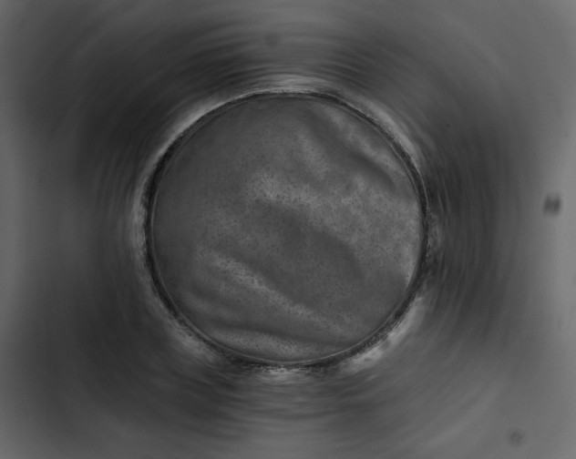 X0000102820835200809021249