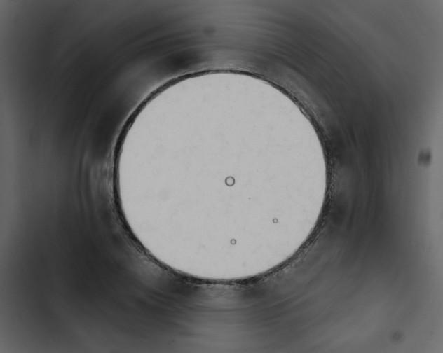 X0000102820836200809021249