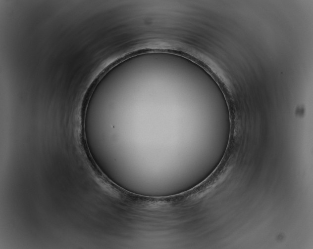 X0000102820837200809021249