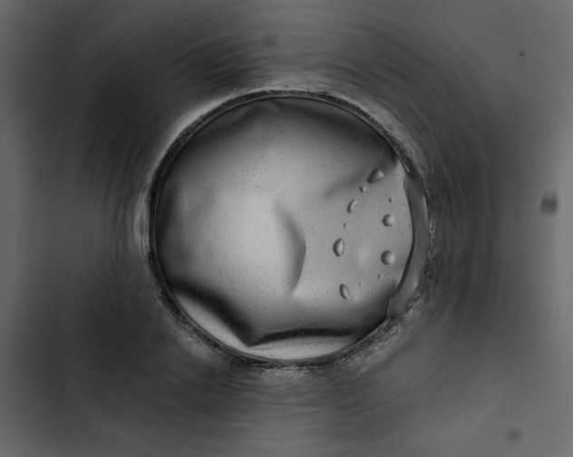 X0000102820838200809021249