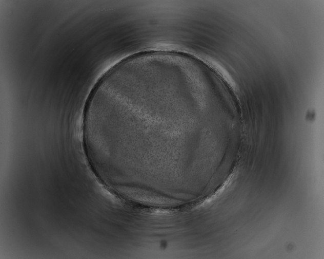 X0000102820839200809021249