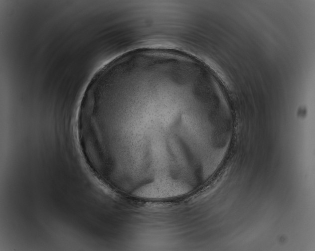 X0000102820840200809021249
