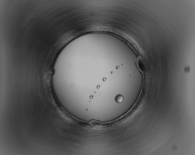 X0000102820841200809021249