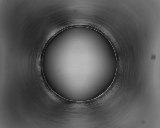 X0000102820842200809021249