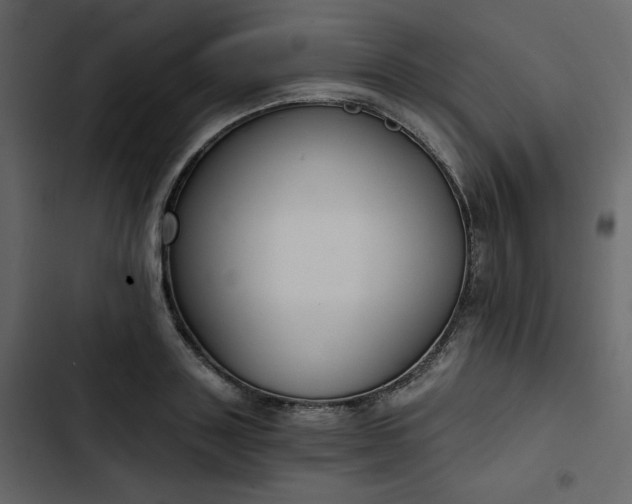 X0000102820843200809021249