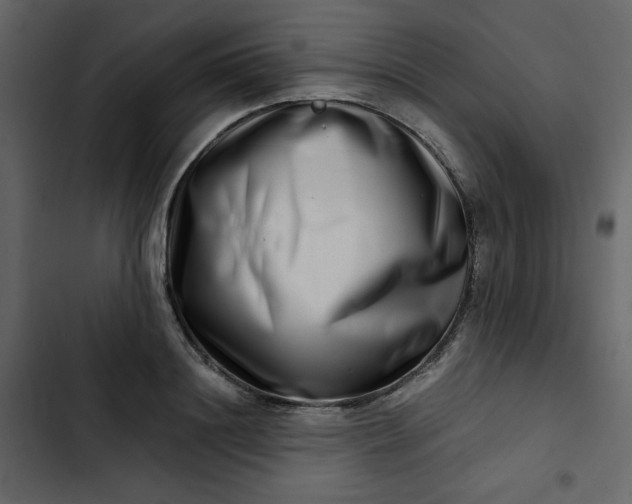 X0000102820844200809021249