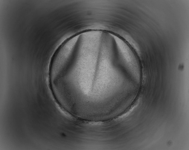 X0000102820845200809021249