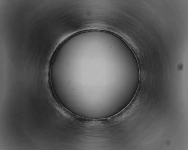 X0000102820846200809021249
