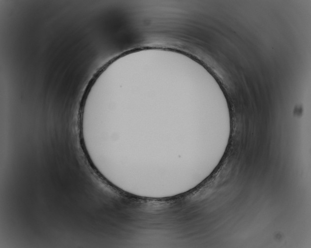X0000102820848200809021249