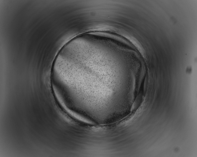 X0000102820850200809021249