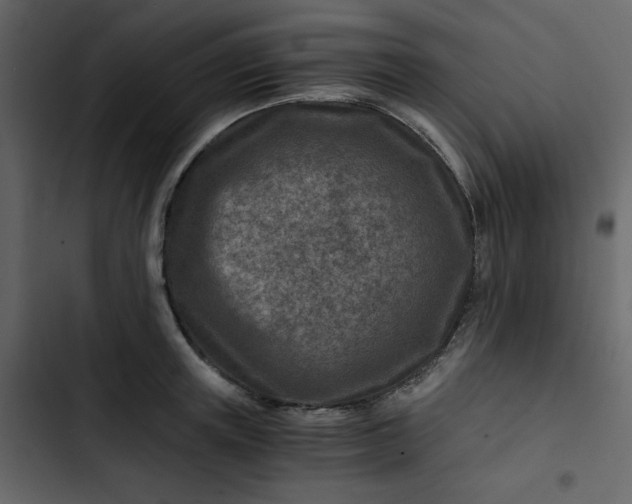 X0000102820851200809021249
