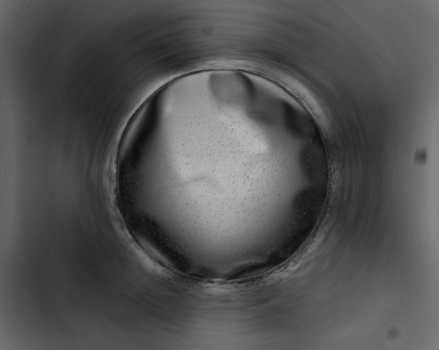 X0000102820852200809021249