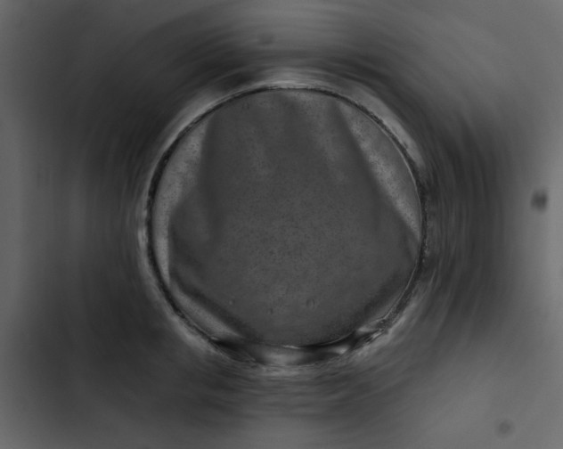 X0000102820853200809021249