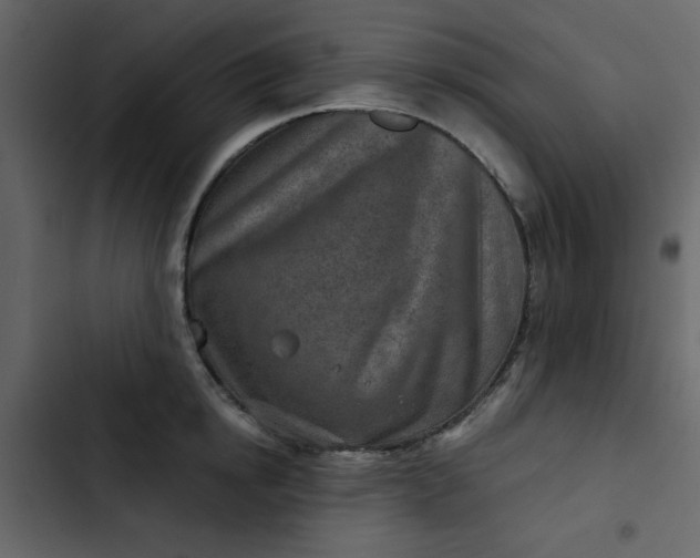 X0000102820854200809021249