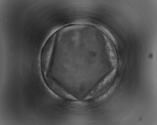 X0000102820855200809021249