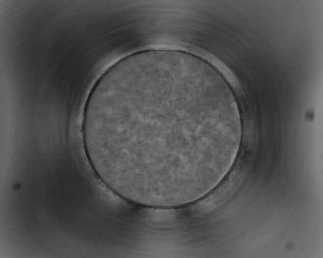 X0000102820856200809021249