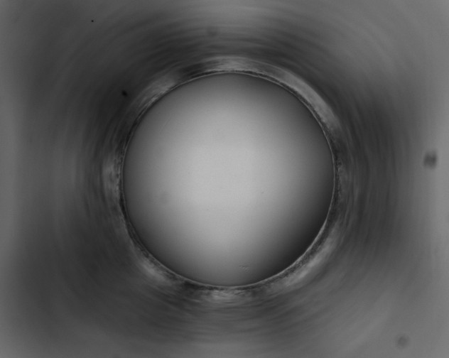 X0000102820857200809021249