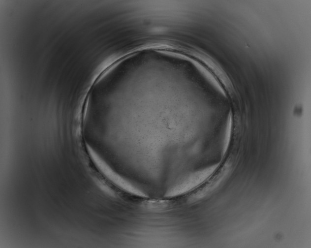 X0000102820858200809021249