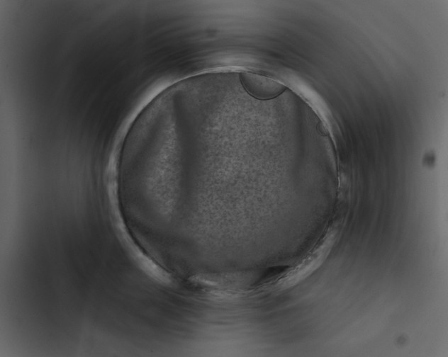 X0000102820859200809021249