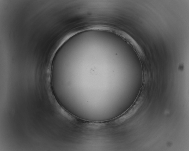 X0000102820860200809021249