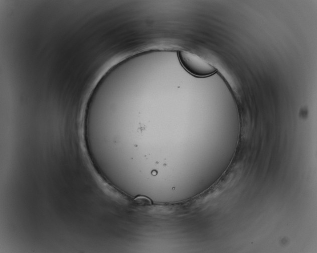X0000102820861200809021249