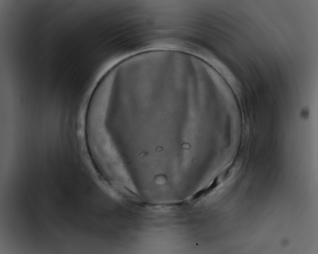 X0000102820862200809021249