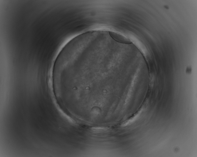 X0000102820863200809021249