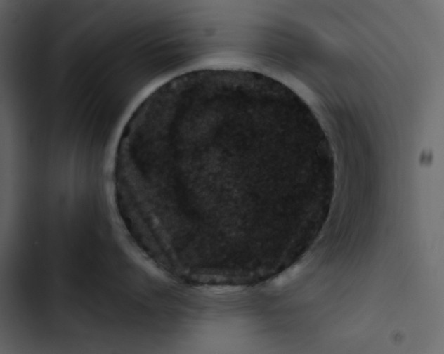 X0000102820864200809021249