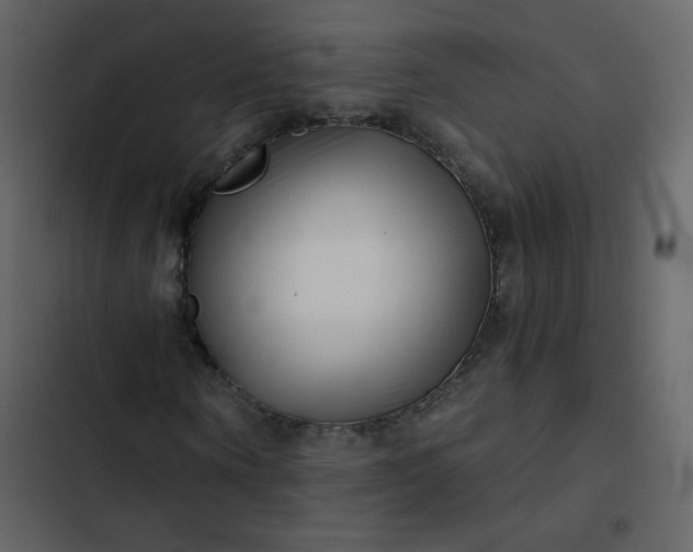 X0000102820866200809021248