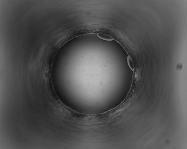 X0000102820867200809021248