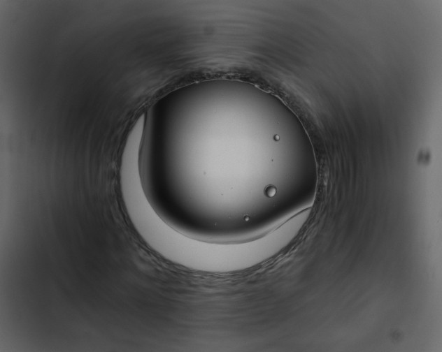 X0000102820868200809021248