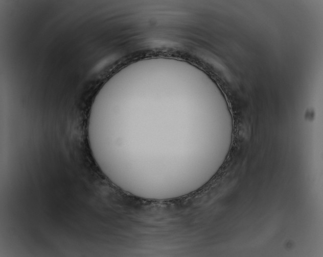 X0000102820869200809021248
