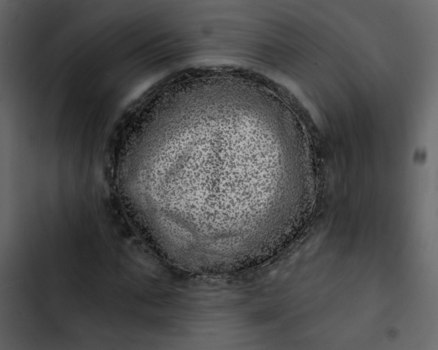 X0000102820871200809021248
