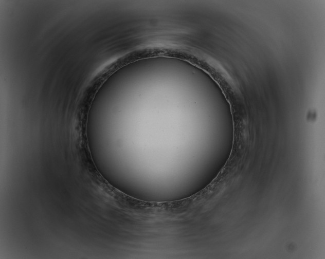 X0000102820872200809021248