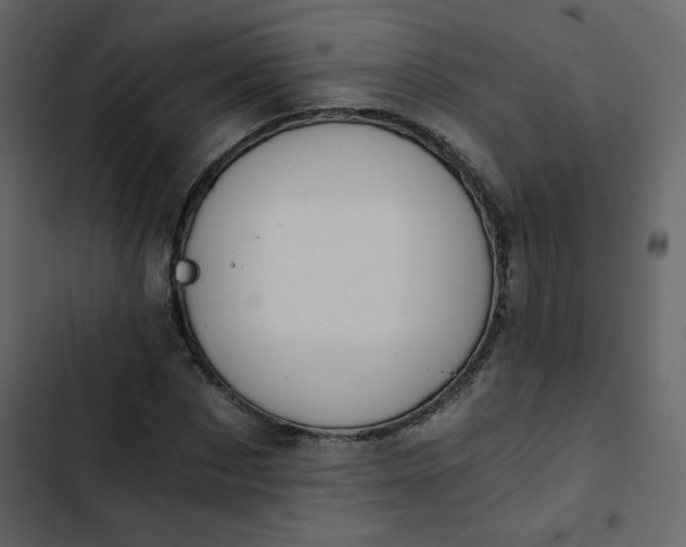 X0000102820873200809021248