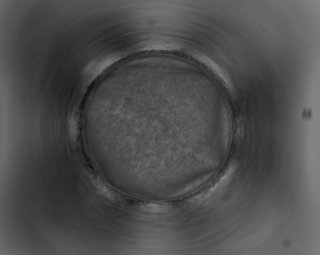 X0000102820874200809021248