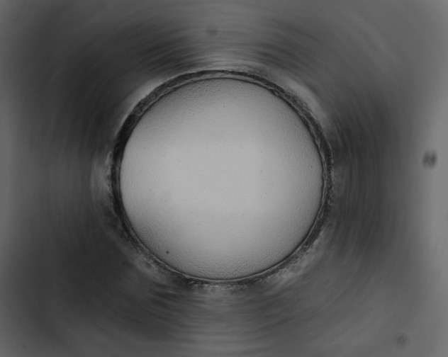 X0000102820875200809021248