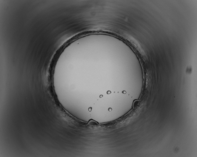 X0000102820876200809021248