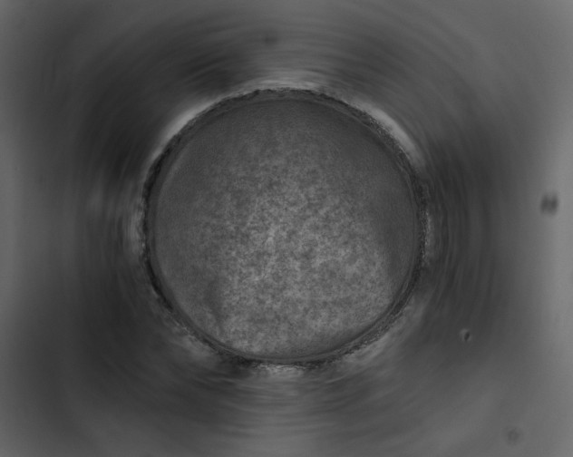 X0000102820878200809021248