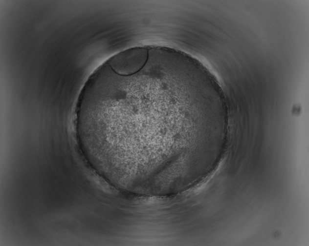 X0000102820879200809021248