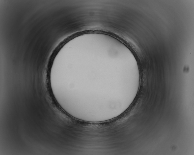 X0000102820880200809021248