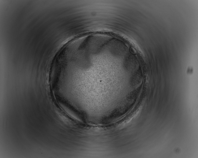 X0000102820881200809021248
