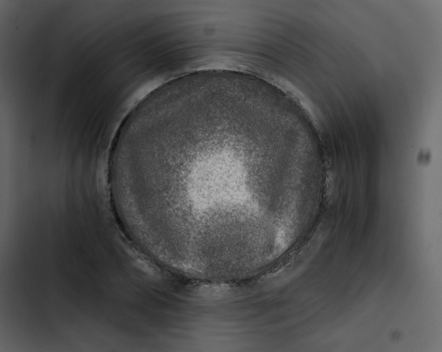 X0000102820882200809021248
