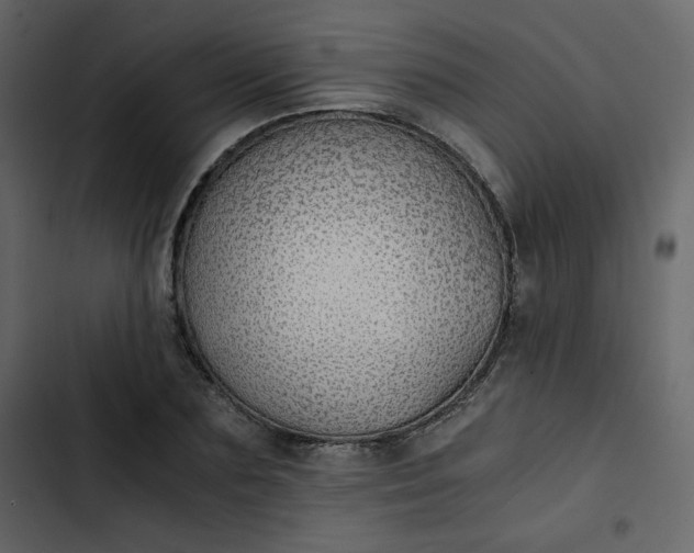 X0000102820883200809021248