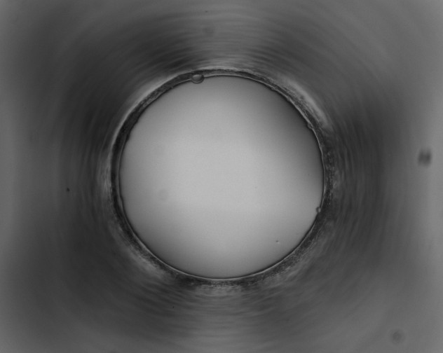 X0000102820884200809021248