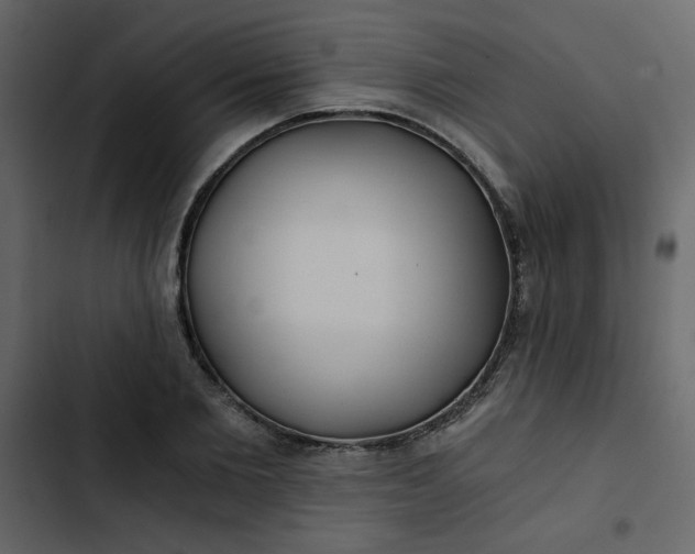 X0000102820885200809021248