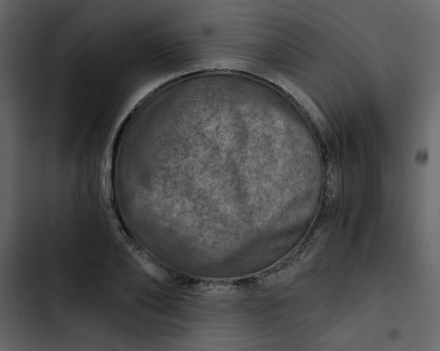X0000102820886200809021248